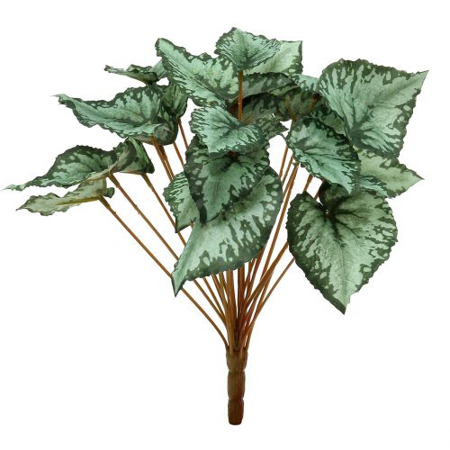 Floristik24 Begonia artificial arbusto verde 30cm