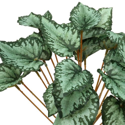 Floristik24 Begonia artificial arbusto verde 30cm