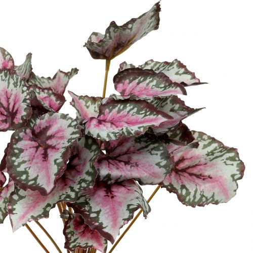 Artículo Begonia artificial arbusto verde, violeta 34cm