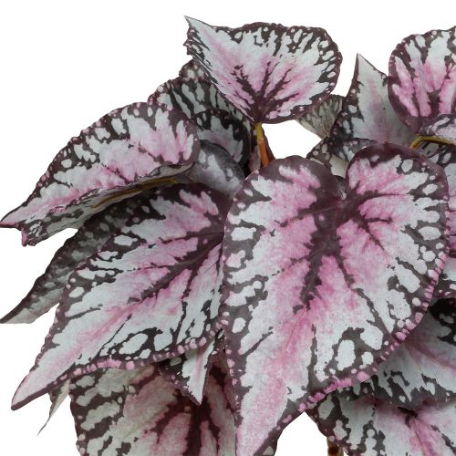 Floristik24 Arbusto de begonia artificial Burdeos 37cm