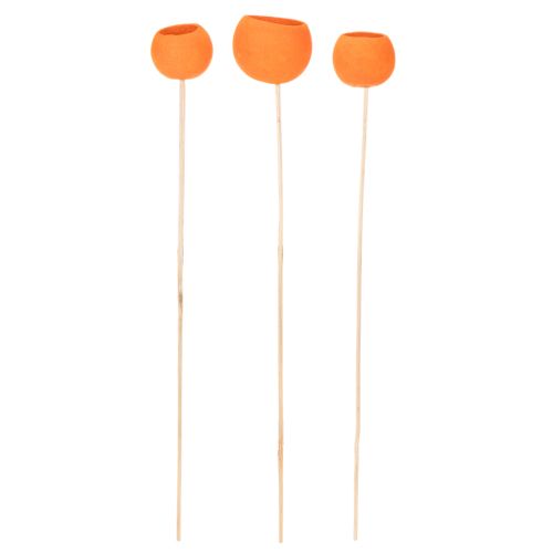 Mezcla Bell Cup en palito, color naranja, 15 unidades | Floristik24.es