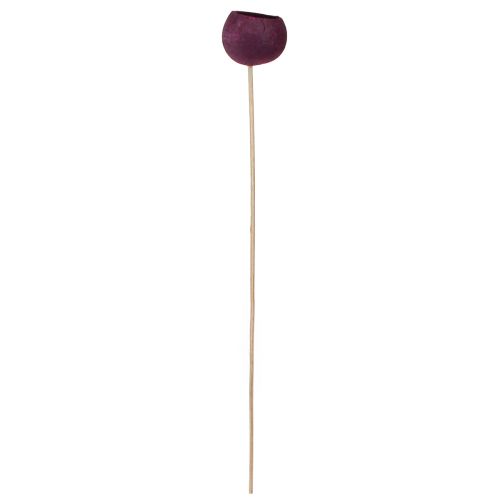 Artículo Campana Copa en palo decoración seca luto floristería vino tinto 15 piezas