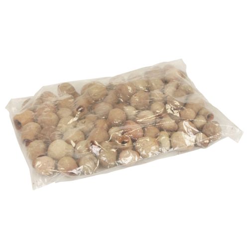 Artículo Bellgum bell fruit cápsula fruta decoración natural marrón 500g
