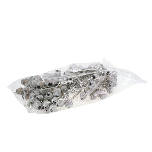 Artículo Rama de bellgum con 5-7 frutos blanqueados 20uds