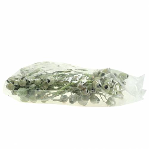 Artículo Rama Bellgum 5cm - 7cm verde esmerilado 20 piezas