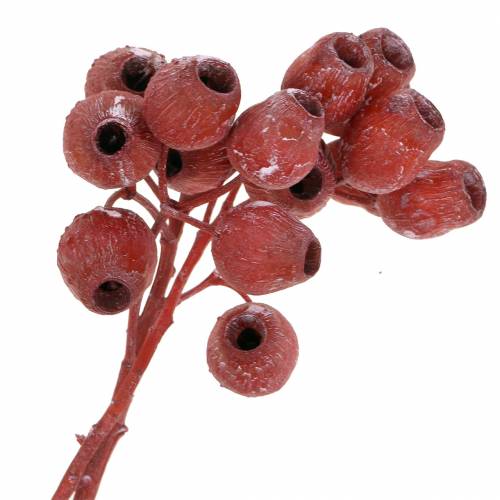 Floristik24 Rama Bellgum 5cm - 7cm rojo esmerilado 20 piezas