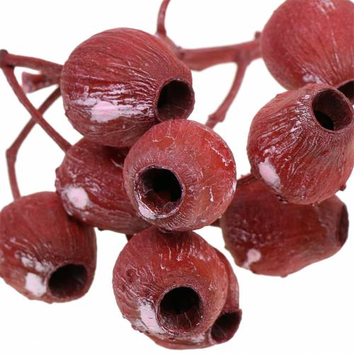 Artículo Rama Bellgum 5cm - 7cm rojo esmerilado 20 piezas