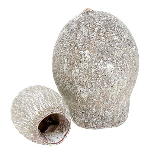 Artículo Bellgums encaladas 2cm - 5cm 500g