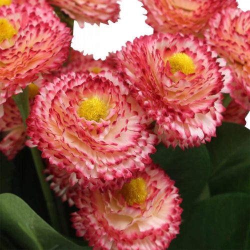 Artículo Flor artificial, bellis artificiales en ramo, margaritas blanco-rosa L32cm 10 piezas