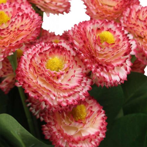 Artículo Flor artificial, bellis artificiales en racimo, margaritas blanco-rosa L32cm 10pcs