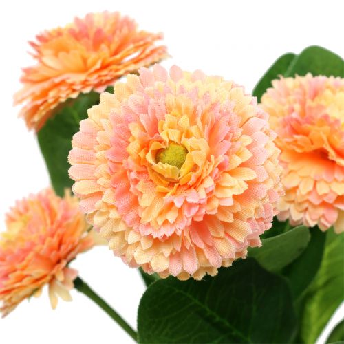 Floristik24 Margarita artificial color melocotón 24cm 2uds