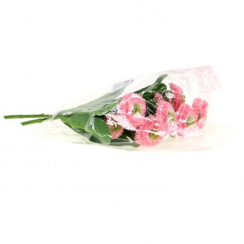 Floristik24 Bellisbund Rosa 24cm 2pcs