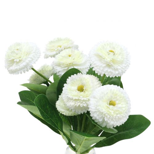 Floristik24 Bellisbund blanco 24cm 2pcs