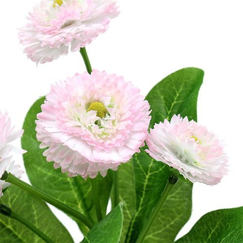 Floristik24 Bellispick Rosa L 24cm