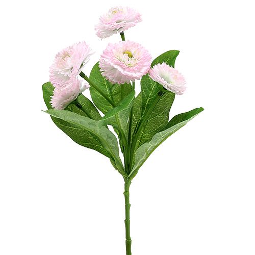 Floristik24 Bellispick Rosa L 24cm