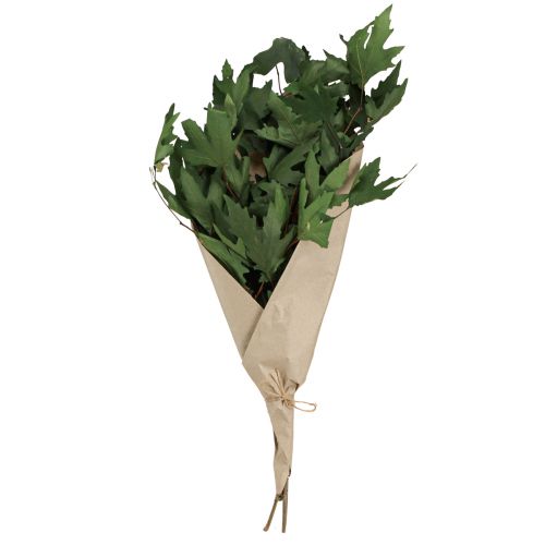 Artículo Ramas de sicómoro hojas decorativas hojas de arce verde 50-60cm 100g