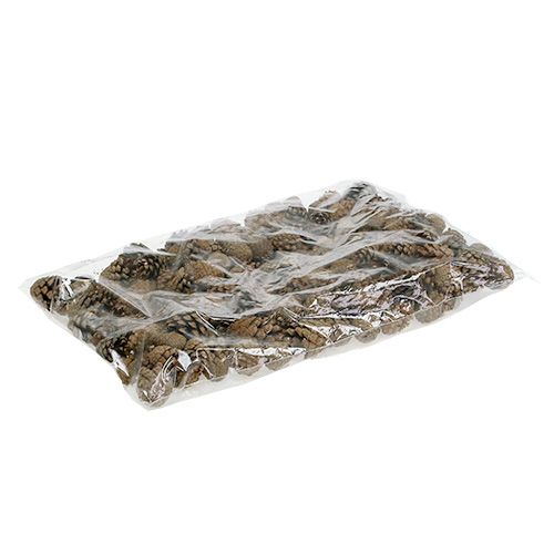 Floristik24 Piñas de pino de montaña Piñas 2kg