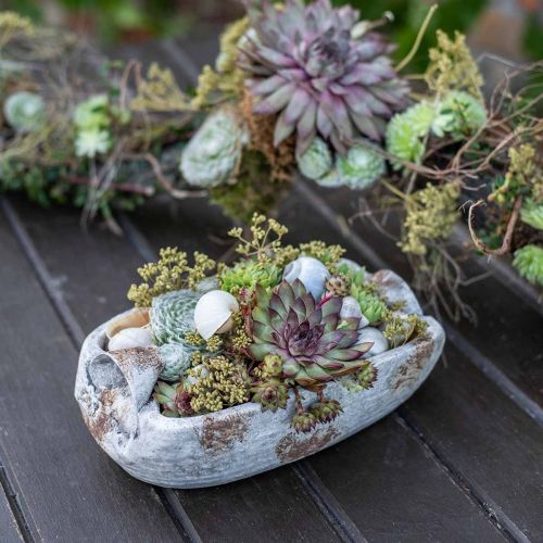 Floristik24 Cuenco de hormigón ovalado blanco gris marrón con asas antiguo L25cm