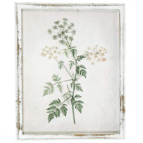 Decoración de pared vintage, cuadro con marco madera planta seca 40×50cm