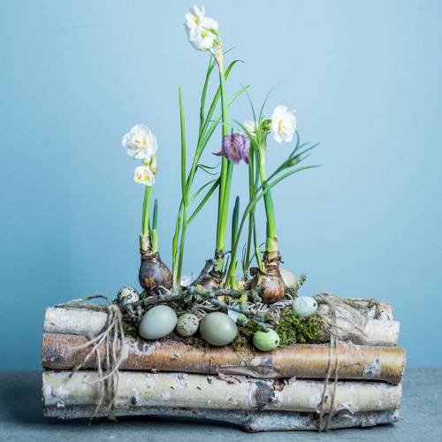 Floristik24 Ramas de abedul atadas naturaleza 30cm 8 piezas