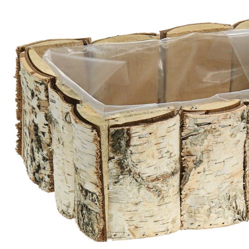 Floristik24 Plantador de abedul 2pcs