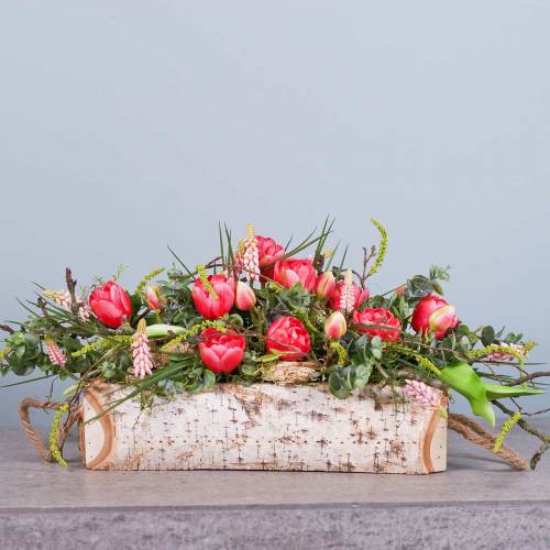 Floristik24 Macetero de abedul con asas de cuerda 38x16cm H9cm