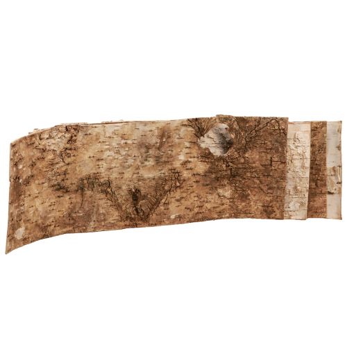 Floristik24 Tiras decorativas de corteza de abedul blanco natural 48×15cm 6 piezas