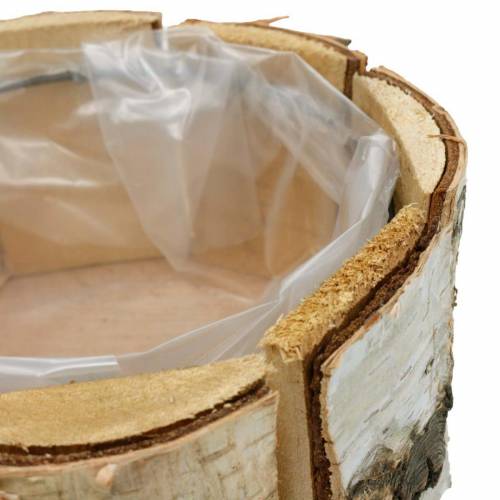 Floristik24 Macetero abedul macetero abedul natural macetero redondo de madera Ø13cm