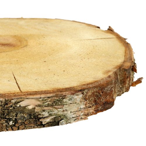 Floristik24 Rebanada de abedul natural Ø30cm - 35cm