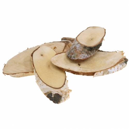 Floristik24 Rodajas de abedul ovalado natural 4×8cm 1kg para decoración