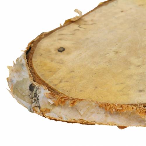 Floristik24 Discos de madera abedul ovalado natural 7.5 × 13cm 1kg