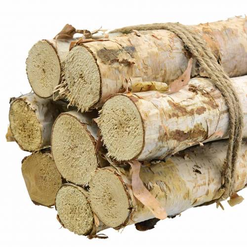 Floristik24 Ramas de abedul agrupadas naturales 40cm