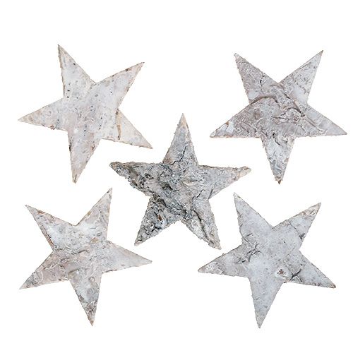 Floristik24 Abedul estrella blanco lavado 6,5cm 36p