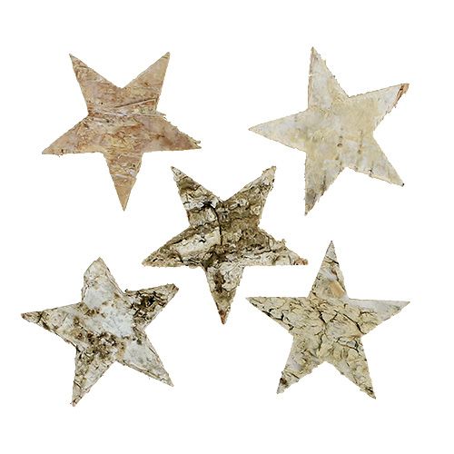 Floristik24 Abedul estrellas 6cm 100p