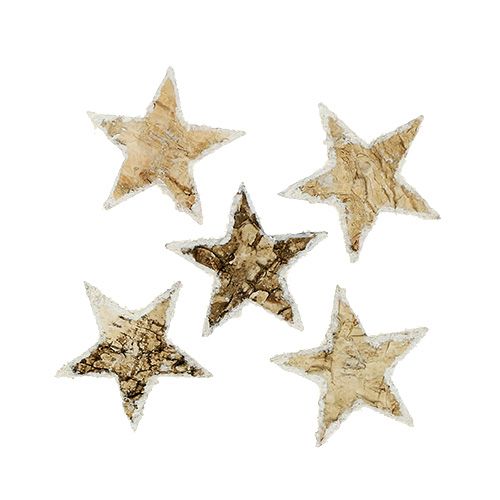 Floristik24 Abedul estrellas nevadas 4cm naturaleza 60p