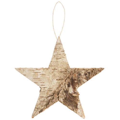 Artículo Estrellas de abedul para estrellas colgantes corteza de abedul natural 15cm 6 piezas