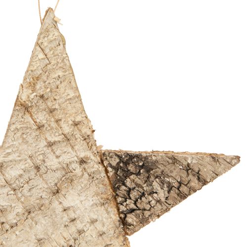 Artículo Estrellas de abedul para estrellas colgantes corteza de abedul natural 25cm 3 piezas