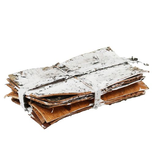 Floristik24 Corteza en rodajas 20 cm x 12 cm blanca, lavada 8 piezas