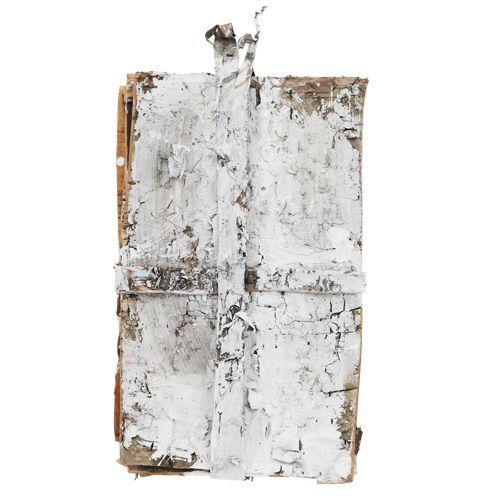 Floristik24 Corteza en rodajas 20 cm x 12 cm blanca, lavada 8 piezas