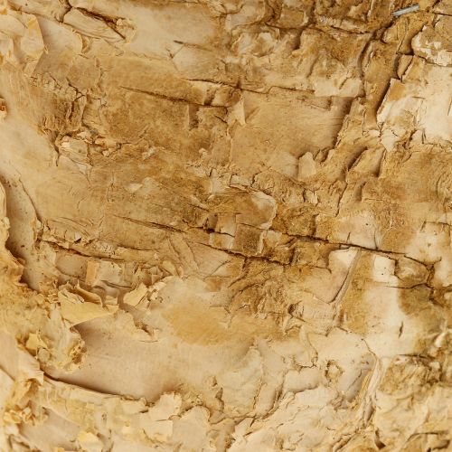 Artículo Maceta de abedul Ø12cm H10cm