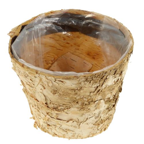 Artículo Maceta de abedul Ø12cm H10cm