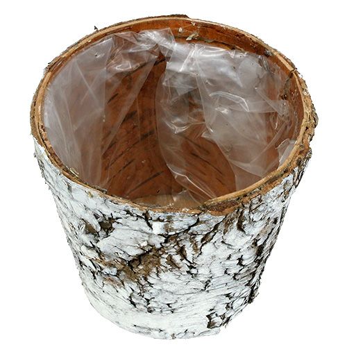 Artículo Maceta de abedul mediana, maceta de abedul blanca, Ø12 cm, altura 10,5 cm, 4 unidades