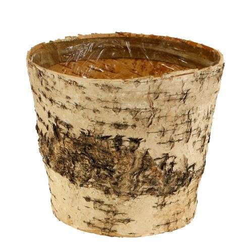 Maceta de abedul de corteza con lámina Ø15cm H13cm 3 piezas