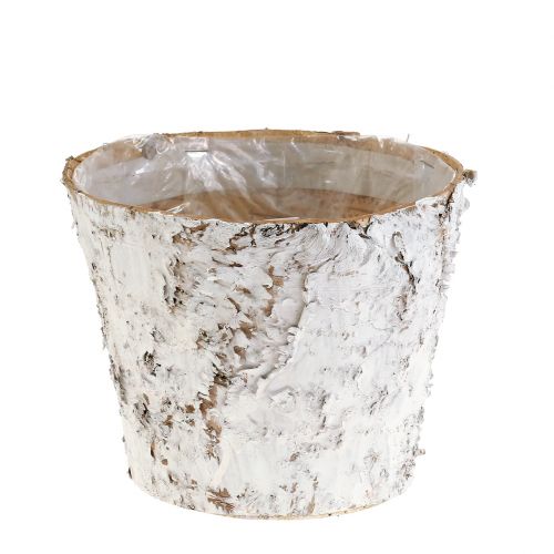 Artículo Maceta con macetero de corteza de abedul blanqueada Ø15cm H12,5cm 3 piezas