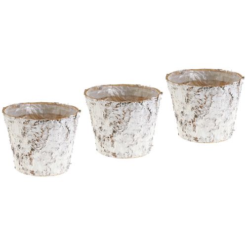 Artículo Maceta con macetero de corteza de abedul blanqueada Ø15cm H12,5cm 3 piezas