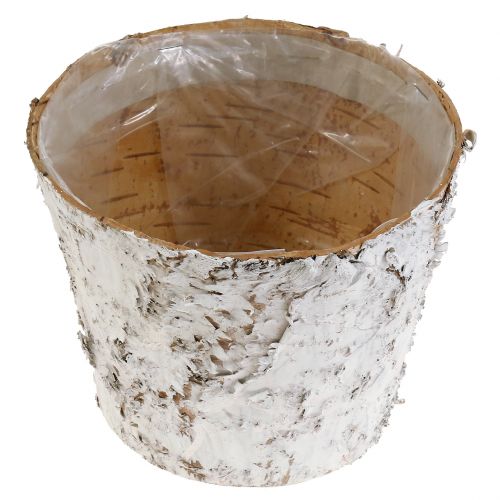 Artículo Maceta con macetero de corteza de abedul blanqueada Ø15cm H12,5cm 3 piezas