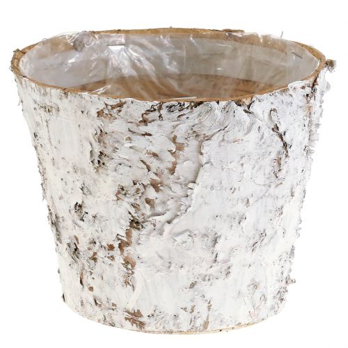Artículo Macetero decorativo macetero de abedul blanqueado Ø18cm H15cm 2ud