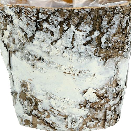 Artículo Macetero de abedul mini macetero blanco Ø7cm H7cm 10uds