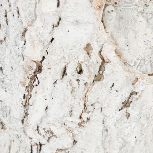 Artículo Maceta con aspecto de corteza, ideal para diseño interior rústico y decoración con plantas, 12 cm, 4 piezas