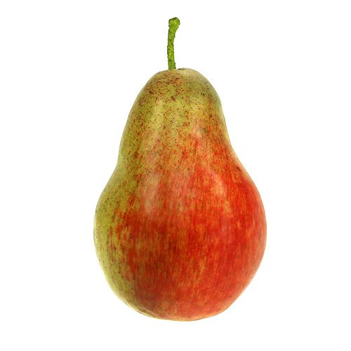 Floristik24 Rojo pera, verde 11cm - 12cm 3 piezas